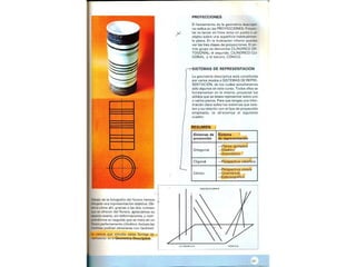 Perpectiva primaria2