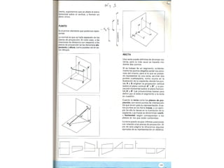 Perpectiva primaria2