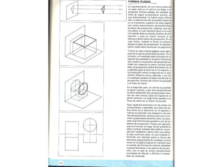 Perpectiva primaria2