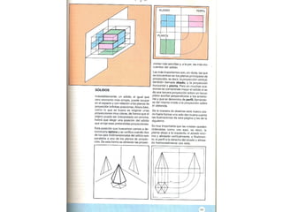 Perpectiva primaria2