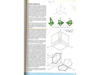 Perpectiva primaria2