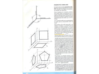 Perpectiva primaria2