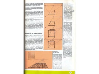 Perpectiva primaria2