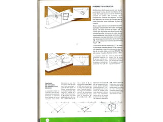 Perpectiva primaria2