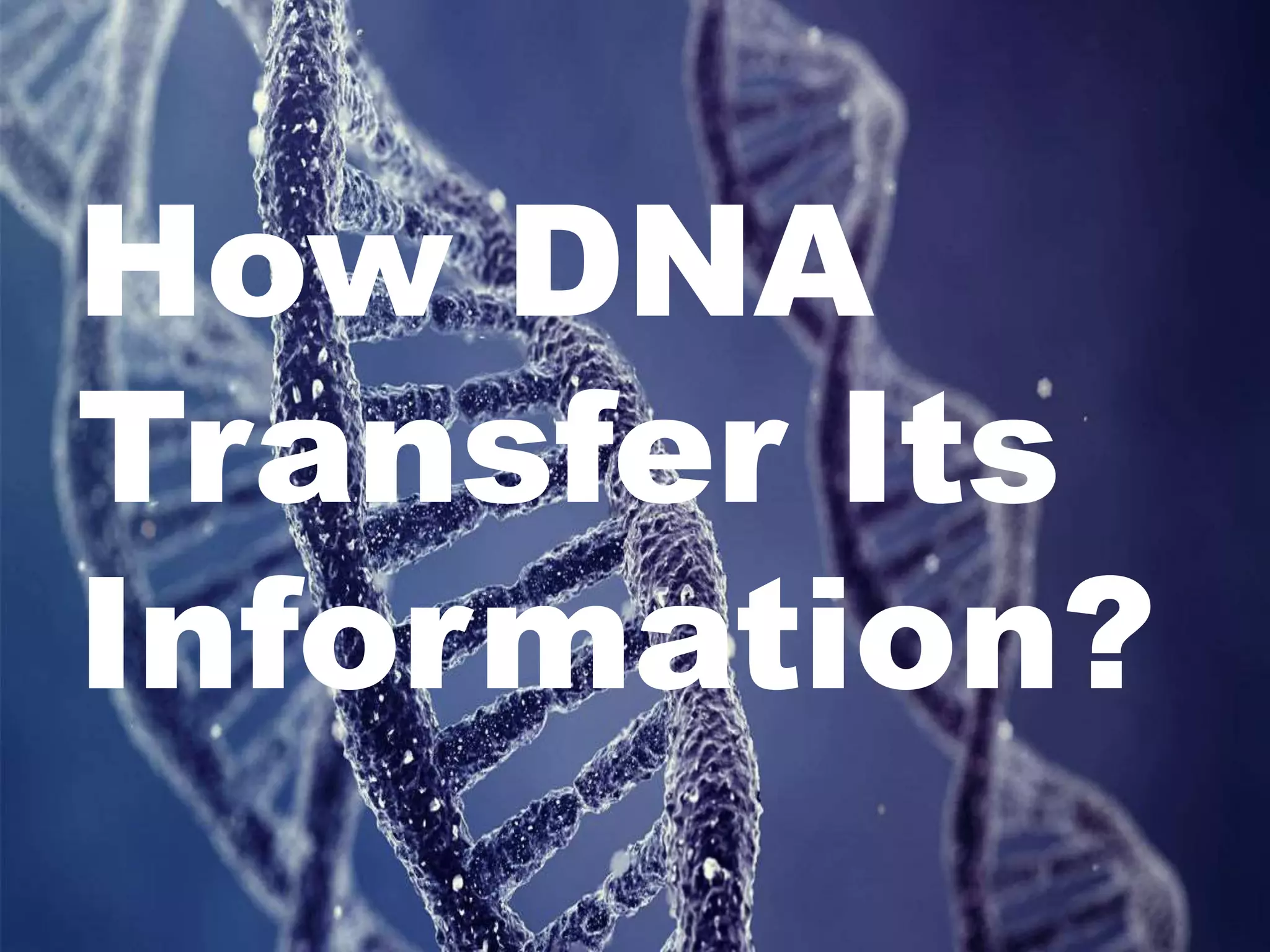 How DNA
Transfer Its
Information?
 
