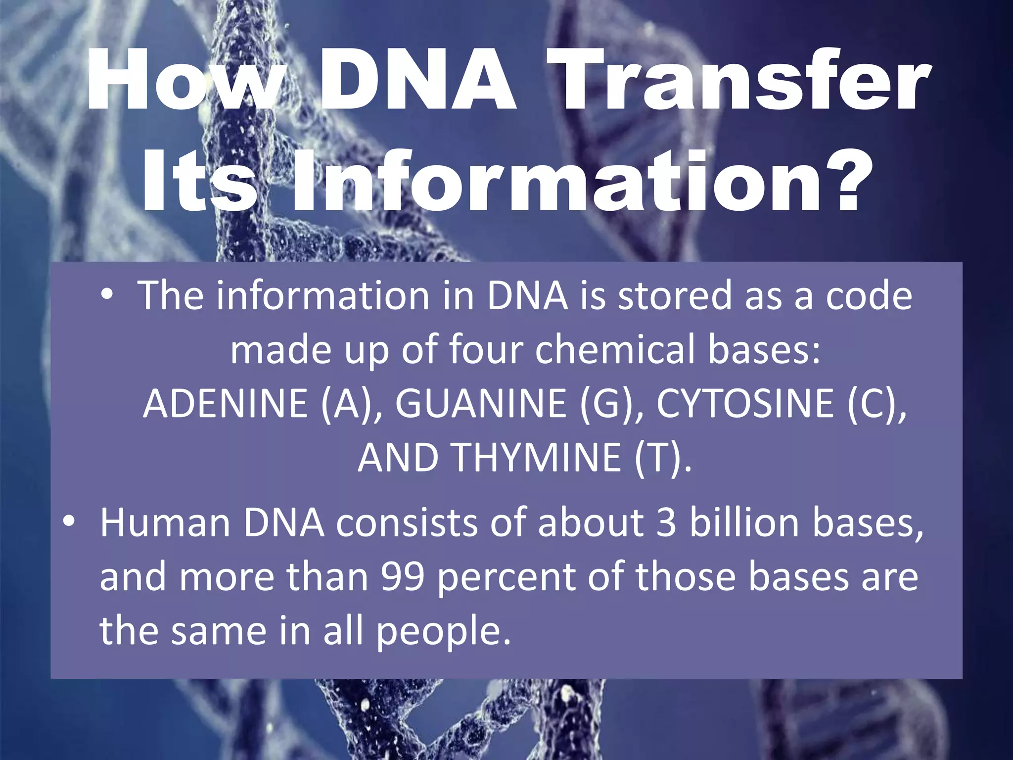 How DNA Transfer
Its Information?
• The information in DNA is stored as a code
made up of four chemical bases:
ADENINE (A), GUANINE (G), CYTOSINE (C),
AND THYMINE (T).
• Human DNA consists of about 3 billion bases,
and more than 99 percent of those bases are
the same in all people.
 