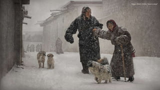 Peigen ZHAO -CHINA. "love in snow"
 