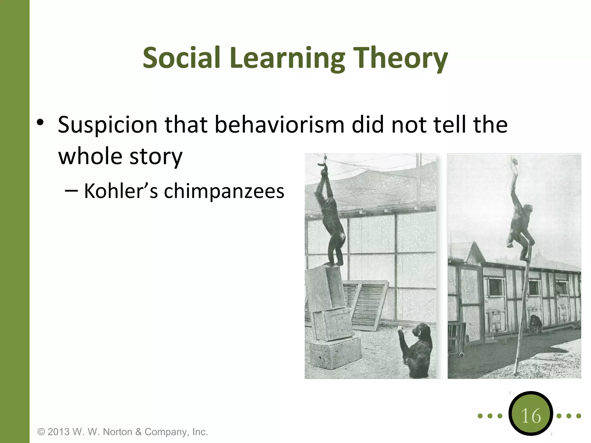 Social Learning Theory
• Suspicion that behaviorism did not tell the
whole story
– Kohler’s chimpanzees

© 2013 W. W. Norton & Company, Inc.

16

 