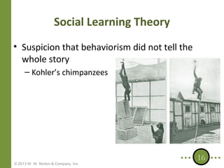 Social Learning Theory
• Suspicion that behaviorism did not tell the
whole story
– Kohler’s chimpanzees

© 2013 W. W. Norton & Company, Inc.

16

 