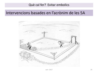 Què cal fer? Evitar embolics
Intervencions basades en l’acrònim de les 5A
29aem 2017
 