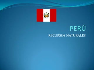PERÚ RECURSOS NATURALES 