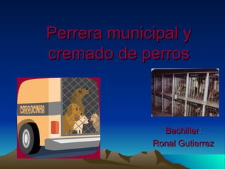 Perrera municipal y cremado de perros Bachiller : Ronal Gutierrez 