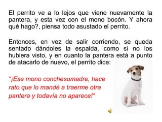 El perrito ve a lo lejos que viene nuevamente la pantera, y esta vez con el mono bocón. Y ahora qué hago?, piensa todo asustado el perrito. Entonces, en vez de salir corriendo, se queda sentado dándoles la espalda, como si no los hubiera visto, y en cuanto la pantera está a punto de atacarlo de nuevo, el perrito dice: "¡Ese mono conchesumadre, hace rato que lo mandé a traerme otra pantera y todavía no aparece!"   