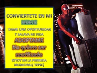 CONVIERTETE EN MI HEROEDAME UNA OPORTUNIDAD Y SALAVA MI VIDAADOPTAMENo quiero ser sacrificadoESTOY EN LA PERRERA MUNICIPAL( TEPIC)