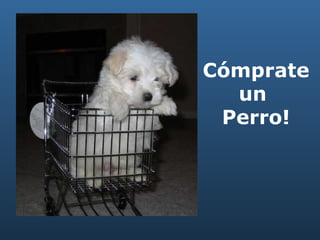 Cómprate un  Perro! 