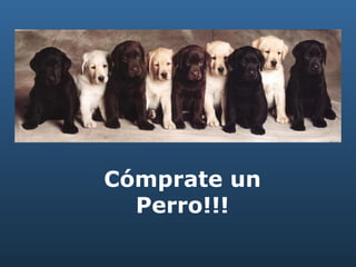 Cómprate un Perro!!! 