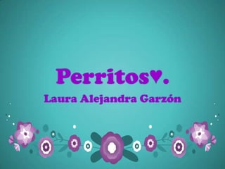Perritos♥.
Laura Alejandra Garzón
 