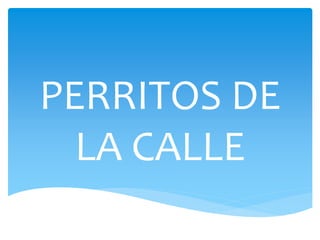 PERRITOS DE
LA CALLE
 