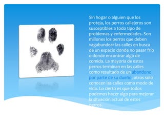 Sin hogar o alguien que los
proteja, los perros callejeros son
susceptibles a todo tipo de
problemas y enfermedades. Son
millones los perros que deben
vagabundear las calles en busca
de un espacio donde no pasar frío
o donde encontrar algo de
comida. La mayoría de estos
perros terminan en las calles
como resultado de un abandono
por parte de su dueño, otros solo
conocen las calles como modo de
vida. Lo cierto es que todos
podemos hacer algo para mejorar
la situación actual de estos
perros.
 