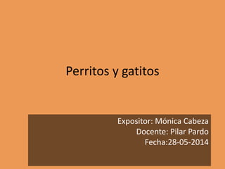 Perritos y gatitos
Expositor: Mónica Cabeza
Docente: Pilar Pardo
Fecha:28-05-2014
 