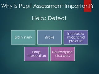 Perrla Example How to Perform a PERRLA Eye Assessment: Step-by-Step Guide for Health ...