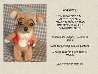 MORALEJA:

      "EN MOMENTOS DE
       CRISIS, SOLO LA
    IMAGINACIÓN ES MAS
     IMPORTANTE QUE EL
       CONOCIMIENTO".


 Procura ser imaginativo como el
              perro,

evita ser pendejo como la pantera,

 y nunca seas tan ojete como el
            MONO


     Que tengan un buen día
 