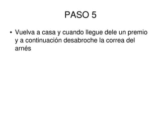 PASO 5
● Vuelva a casa y cuando llegue dele un premio
y a continuación desabroche la correa del
arnés