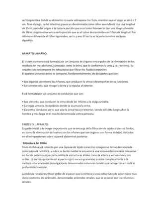 rectosigmoidea donde su diámetro no suele sobrepasar los 3 cm, mientras que el ciego es de 6 o 7
cm. Tras el ciego, la del intestino grueso es denominada como colon ascendente con una longitud
de 15cm, para dar origen a la tercera porción que es el colon transverso con una longitud media
de 50cm, originándose una cuarta porción que es el colon descendente con 10cm de longitud. Por
último se diferencia el colon sigmoideo, recto y ano. El recto es la parte terminal del tubo
digestivo.

APARATO URINARIO
El sistema urinario está formado por un conjunto de órganos encargados de la eliminación de los
residuos del metabolismo, conocidos como la orina; que lo conforman la urea y la creatinina. Su
arquitectura se compone de estructuras que filtran los fluidos corporales.
El aparato urinario canino se compone, fundamentalmente, de dos partes que son:
• Los órganos secretores: los riñones, que producen la orina y desempeñan otras funciones.
• La vía excretora, que recoge la orina y la expulsa al exterior.
Está formado por un conjunto de conductos que son:
• Los uréteres, que conducen la orina desde los riñones a la vejiga urinaria.
• La vejiga urinaria, receptáculo donde se acumula la orina.
• La uretra, conducto por el que sale la orina hacia el exterior, siendo de corta longitud en la
hembra y más larga en el macho denominada uretra peneana.

PARTES DEL APARATO:
La parte inicial y de mayor importancia que se encarga de la filtración de tejidos y ciertos fluidos,
así como la eliminación de toxinas son los riñones que son órganos con forma de fríjol, ubicados
en el retroperitoneo sobre la pared abdominal posterior.
Estructura del Riñón
Todo el riñón está cubierto por una cápsula de tejido conectivo colagenoso denso denominada
como cápsula nefrótica, y sobre su borde medial se encuentra una incisura denominada hilio renal
en donde podemos apreciar la salida de estructuras vitales como la arteria y vena renales y el
uréter. La corteza presenta un aspecto rojizo oscuro granulado y rodea completamente a la
médula renal enviando prolongaciones denominadas columnas renales que se injertan en toda la
profundidad medular.
La médula renal presenta el doble de espesor que la corteza y unas estructuras de color rojizo muy
claro con forma de pirámides, denominadas pirámides renales, que se separan por las columnas
renales.

 