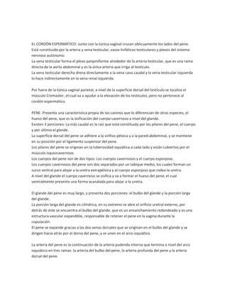 EL CORDÓN ESPERMÁTICO: Junto con la túnica vaginal cruzan oblicuamente los lados del pene.
Está constituido por la arteria y vena testicular, vasos linfáticos testiculares y plexos del sistema
nervioso autónomo.
La vena testicular forma el plexo panpiniforme alrededor de la arteria testicular, que es una rama
directa de la aorta abdominal y es la única arteria que irriga al testículo.
La vena testicular derecha drena directamente a la vena cava caudal y la vena testicular izquierda
lo hace indirectamente en la vena renal izquierda.
Por fuera de la túnica vaginal parietal, a nivel de la superficie dorsal del testículo se localiza el
músculo Cremaster, el cual va a ayudar a la elevación de los testículos, pero no pertenece al
cordón espermático.
PENE: Presenta una característica propia de los caninos que lo diferencian de otras especies, el
hueso del pene, que es la osificación del cuerpo cavernoso a nivel del glande.
Existen 3 porciones: La más caudal es la raíz que está constituida por los pilares del pene, el cuerpo
y por último el glande.
La superficie dorsal del pene se adhiere a la sínfisis pélvica y a la pared abdominal, y se mantiene
en su posición por el ligamento suspensor del pene.
Los pilares del pene se originan en la tuberosidad isquiática a cada lado y están cubiertos por el
músculo isquiocavernoso.
Los cuerpos del pene son de dos tipos: Los cuerpos cavernosos y el cuerpo esponjoso.
Los cuerpos cavernosos del pene son dos separados por un tabique medio, los cuales forman un
surco ventral para alojar a la uretra extrapélvica y al cuerpo esponjoso que rodea la uretra.
A nivel del glande el cuerpo cavernoso se osifica y va a formar el hueso del pene, el cual
ventralmente presenta una forma acanalada para alojar a la uretra.
El glande del pene es muy largo, y presenta dos porciones: el bulbo del glande y la porción larga
del glande.
La porción larga del glande es cilíndrica, en su extremo se abre el orificio uretral externo, por
detrás de éste se encuentra el bulbo del glande, que es un ensanchamiento redondeado y es una
estructura vascular expandible, responsable de retener el pene en la vagina durante la
copulación.
El pene se expande gracias a las dos venas dorsales que se originan en el bulbo del glande y se
dirigen hacia atrás por el dorso del pene, y se unen en el arco isquiático.
La arteria del pene es la continuación de la arteria pudenda interna que termina a nivel del arco
isquiático en tres ramas: la arteria del bulbo del pene, la arteria profunda del pene y la arteria
dorsal del pene.

 