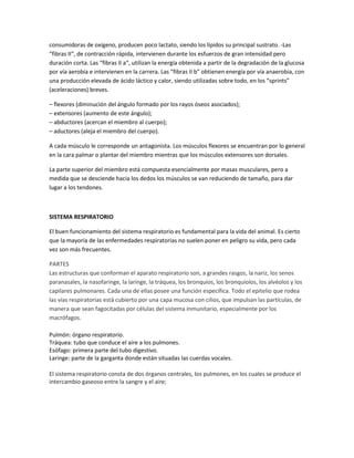 consumidoras de oxígeno, producen poco lactato, siendo los lípidos su principal sustrato. -Las
“fibras II“, de contracción rápida, intervienen durante los esfuerzos de gran intensidad pero
duración corta. Las “fibras II a“, utilizan la energía obtenida a partir de la degradación de la glucosa
por vía aerobia e intervienen en la carrera. Las “fibras II b” obtienen energía por vía anaerobia, con
una producción elevada de ácido láctico y calor, siendo utilizadas sobre todo, en los “sprints”
(aceleraciones) breves.
– flexores (diminución del ángulo formado por los rayos óseos asociados);
– extensores (aumento de este ángulo);
– abductores (acercan el miembro al cuerpo);
– aductores (aleja el miembro del cuerpo).
A cada músculo le corresponde un antagonista. Los músculos flexores se encuentran por lo general
en la cara palmar o plantar del miembro mientras que los músculos extensores son dorsales.
La parte superior del miembro está compuesta esencialmente por masas musculares, pero a
medida que se desciende hacia los dedos los músculos se van reduciendo de tamaño, para dar
lugar a los tendones.

SISTEMA RESPIRATORIO
El buen funcionamiento del sistema respiratorio es fundamental para la vida del animal. Es cierto
que la mayoría de las enfermedades respiratorias no suelen poner en peligro su vida, pero cada
vez son más frecuentes.
PARTES
Las estructuras que conforman el aparato respiratorio son, a grandes rasgos, la nariz, los senos
paranasales, la nasofaringe, la laringe, la tráquea, los bronquios, los bronquiolos, los alvéolos y los
capilares pulmonares. Cada una de ellas posee una función específica. Todo el epitelio que rodea
las vías respiratorias está cubierto por una capa mucosa con cilios, que impulsan las partículas, de
manera que sean fagocitadas por células del sistema inmunitario, especialmente por los
macrófagos.
Pulmón: órgano respiratorio.
Tráquea: tubo que conduce el aire a los pulmones.
Esófago: primera parte del tubo digestivo.
Laringe: parte de la garganta donde están situadas las cuerdas vocales.
El sistema respiratorio consta de dos órganos centrales, los pulmones, en los cuales se produce el
intercambio gaseoso entre la sangre y el aire;

 