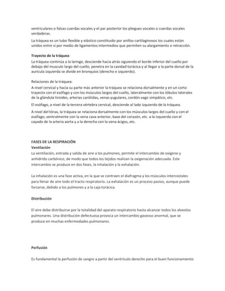 ventriculares o falsas cuerdas vocales y el par posterior los pliegues vocales o cuerdas vocales
verdaderas.
La tráquea es un tubo flexible y elástico constituido por anillos cartilaginosos los cuales están
unidos entre sí por medio de ligamentos intermedios que permiten su alargamiento o retracción.
Trayecto de la tráquea:
La tráquea continúa a la laringe, desciende hacia atrás siguiendo el borde inferior del cuello por
debajo del musculo largo del cuello, penetra en la cavidad torácica y al llegar a la parte dorsal de la
aurícula izquierda se divide en bronquios (derecho e izquierdo).
Relaciones de la tráquea:
A nivel cervical y hacia su parte más anterior la tráquea se relaciona dorsalmente y en un corto
trayecto con el esófago y con los músculos largos del cuello, lateralmente con los lóbulos laterales
de la glándula tiroides, arterias carótidas, venas yugulares, cordón vago simpático, etc.
El esófago, a nivel de la tercera vértebra cervical, desciende al lado izquierdo de la tráquea.
A nivel del tórax, la tráquea se relaciona dorsalmente con los músculos largos del cuello y con el
esófago; ventralmente con la vena cava anterior, base del corazón, etc. a la izquierda con el
cayado de la arteria aorta y a la derecha con la vena ácigos, etc.

FASES DE LA RESPIRACIÓN
Ventilación
La ventilación, entrada y salida de aire a los pulmones, permite el intercambio de oxígeno y
anhídrido carbónico, de modo que todos los tejidos realizan la oxigenación adecuada. Este
intercambio se produce en dos fases, la inhalación y la exhalación.
La inhalación es una fase activa, en la que se contraen el diafragma y los músculos intercostales
para llenar de aire todo el tracto respiratorio. La exhalación es un proceso pasivo, aunque puede
forzarse, debido a los pulmones y a la caja torácica.
Distribución
El aire debe distribuirse por la totalidad del aparato respiratorio hasta alcanzar todos los alveolos
pulmonares. Una distribución defectuosa provoca un intercambio gaseoso anormal, que se
produce en muchas enfermedades pulmonares.

Perfusión
Es fundamental la perfusión de sangre a partir del ventrículo derecho para el buen funcionamiento

 