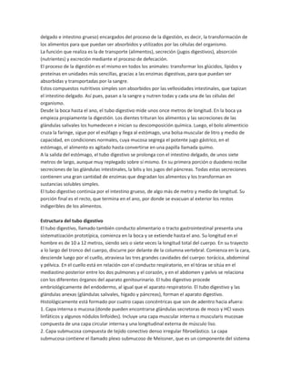delgado e intestino grueso) encargados del proceso de la digestión, es decir, la transformación de
los alimentos para que puedan ser absorbidos y utilizados por las células del organismo.
La función que realiza es la de transporte (alimentos), secreción (jugos digestivos), absorción
(nutrientes) y excreción mediante el proceso de defecación.
El proceso de la digestión es el mismo en todos los animales: transformar los glúcidos, lípidos y
proteínas en unidades más sencillas, gracias a las enzimas digestivas, para que puedan ser
absorbidas y transportadas por la sangre.
Estos compuestos nutritivos simples son absorbidos por las vellosidades intestinales, que tapizan
el intestino delgado. Así pues, pasan a la sangre y nutren todas y cada una de las células del
organismo.
Desde la boca hasta el ano, el tubo digestivo mide unos once metros de longitud. En la boca ya
empieza propiamente la digestión. Los dientes trituran los alimentos y las secreciones de las
glándulas salivales los humedecen e inician su descomposición química. Luego, el bolo alimenticio
cruza la faringe, sigue por el esófago y llega al estómago, una bolsa muscular de litro y medio de
capacidad, en condiciones normales, cuya mucosa segrega el potente jugo gástrico, en el
estómago, el alimento es agitado hasta convertirse en una papilla llamada quimo.
A la salida del estómago, el tubo digestivo se prolonga con el intestino delgado, de unos siete
metros de largo, aunque muy replegado sobre sí mismo. En su primera porción o duodeno recibe
secreciones de las glándulas intestinales, la bilis y los jugos del páncreas. Todas estas secreciones
contienen una gran cantidad de enzimas que degradan los alimentos y los transforman en
sustancias solubles simples.
El tubo digestivo continúa por el intestino grueso, de algo más de metro y medio de longitud. Su
porción final es el recto, que termina en el ano, por donde se evacuan al exterior los restos
indigeribles de los alimentos.
Estructura del tubo digestivo
El tubo digestivo, llamado también conducto alimentario o tracto gastrointestinal presenta una
sistematización prototípica, comienza en la boca y se extiende hasta el ano. Su longitud en el
hombre es de 10 a 12 metros, siendo seis o siete veces la longitud total del cuerpo. En su trayecto
a lo largo del tronco del cuerpo, discurre por delante de la columna vertebral. Comienza en la cara,
desciende luego por el cuello, atraviesa las tres grandes cavidades del cuerpo: torácica, abdominal
y pélvica. En el cuello está en relación con el conducto respiratorio, en el tórax se sitúa en el
mediastino posterior entre los dos pulmones y el corazón, y en el abdomen y pelvis se relaciona
con los diferentes órganos del aparato genitourinario. El tubo digestivo procede
embriológicamente del endodermo, al igual que el aparato respiratorio. El tubo digestivo y las
glándulas anexas (glándulas salivales, hígado y páncreas), forman el aparato digestivo.
Histológicamente está formado por cuatro capas concéntricas que son de adentro hacia afuera:
1. Capa interna o mucosa (donde pueden encontrarse glándulas secretoras de moco y HCl vasos
linfáticos y algunos nódulos linfoides). Incluye una capa muscular interna o muscularis mucosae
compuesta de una capa circular interna y una longitudinal externa de músculo liso.
2. Capa submucosa compuesta de tejido conectivo denso irregular fibroelástico. La capa
submucosa contiene el llamado plexo submucoso de Meissner, que es un componente del sistema

 