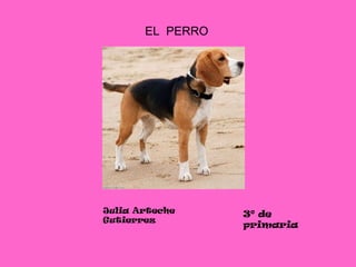 EL  PERRO Julia Arteche Gutierrez 3º de primaria 