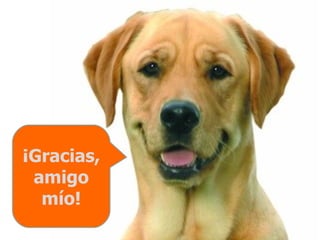 ¡Gracias, amigo mío! 