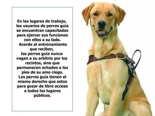 En los lugares de trabajo,
los usuarios de perros guía
se encuentran capacitados
para ejercer sus funciones
     con ellos a su lado.
  Acorde al entrenamiento
        que reciben,
   los perros guía nunca
vagan a su arbitrio por los
      recintos, sino que
permanecen echados a los
    pies de su amo ciego.
  Los perros guía tienen el
 mismo derecho que estos
 para gozar de libre acceso
     a todos los lugares
           públicos.
 