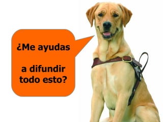 ¿Me ayudas  a difundir todo esto? 