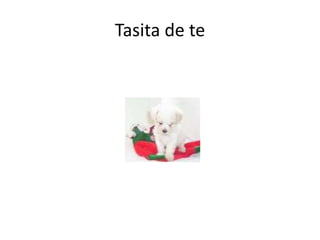 Tasita de te