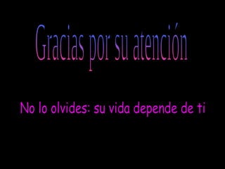 Gracias por su atención No lo olvides: su vida depende de ti Asosiación contra el abandono de los perros Sandra, Chantal y Sara. 