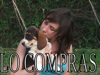 LO COMPRAS 