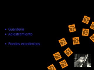 PROTECTORA: Guardería Adiestramiento Trabajadores  Fondos económicos 