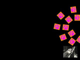 Medios de comunicación Cuña publicitaria Tríptico Televisión 