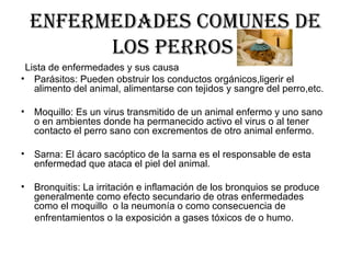 Enfermedades comunes de los perros  Lista de enfermedades y sus causa  Parásitos: Pueden obstruir los conductos orgánicos,ligerir el alimento del animal, alimentarse con tejidos y sangre del perro,etc. Moquillo: Es un virus transmitido de un animal enfermo y uno sano o en ambientes donde ha permanecido activo el virus o al tener contacto el perro sano con excrementos de otro animal enfermo. Sarna: El ácaro sacóptico de la sarna es el responsable de esta enfermedad que ataca el piel del animal. Bronquitis: La irritación e inflamación de los bronquios se produce generalmente como efecto secundario de otras enfermedades como el moquillo  o la neumonía o como consecuencia de  enfrentamientos o la exposición a gases tóxicos de o humo. 