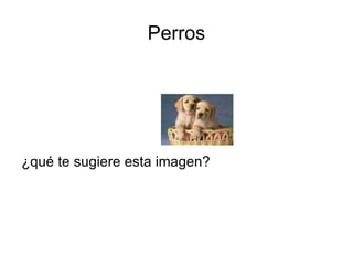 Perros ,[object Object]