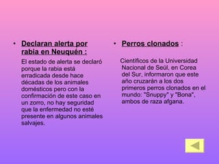 Declaran alerta por rabia en Neuquén : El estado de alerta se declaró porque la rabia está erradicada desde hace décadas de los animales domésticos pero con la confirmación de este caso en un zorro, no hay seguridad que la enfermedad no esté presente en algunos animales salvajes. Perros clonados  : Científicos de la Universidad Nacional de Seúl, en Corea del Sur, informaron que este año cruzarán a los dos primeros perros clonados en el mundo: "Snuppy" y "Bona", ambos de raza afgana. 
