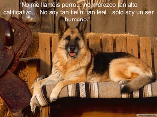 “ No me llaméis perro… no merezco tan alto calificativo… No soy tan fiel ni tan leal…sólo soy un ser humano.”  
