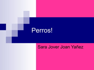 Perros!

  Sara Jover Joan Yañez
 