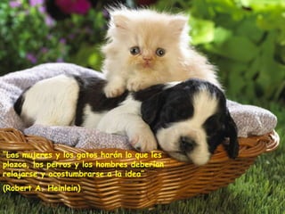 “Las mujeres y los gatos harán lo que les
plazca, los perros y los hombres deberían
relajarse y acostumbrarse a la idea”
(Robert A. Heinlein)
 