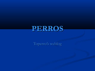 PERROSPERROS
Toperro’s weblogToperro’s weblog
 