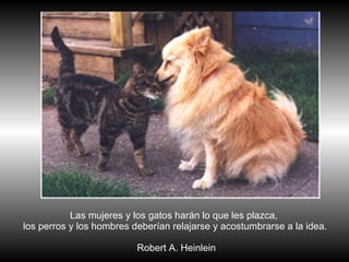 Las mujeres y los gatos harán lo que les plazca,  los perros y los hombres deberían relajarse y acostumbrarse a la idea. Robert A. Heinlein 