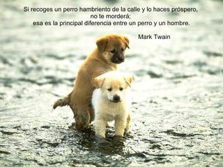 Si recoges un perro hambriento de la calle y lo haces próspero,  no te morderá;  esa es la principal diferencia entre un perro y un hombre.   Mark Twain 
